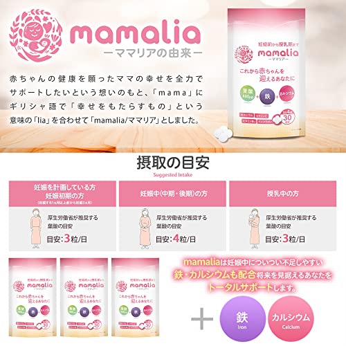 mamalia 9