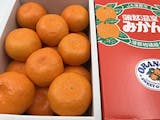 蒲郡みかんのおすすめ人気ランキング【2026年5月】 4