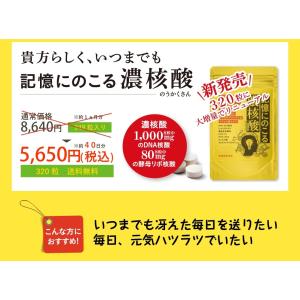 記憶にのこる濃核酸 2
