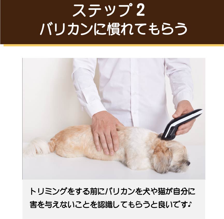 ペットトリマーβ 10