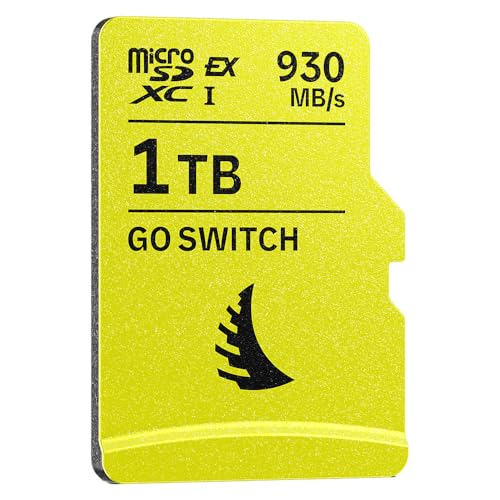 GO SWITCH microSD Express 1