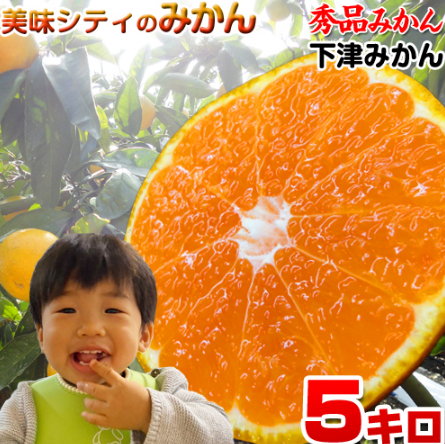 下津のみかんのおすすめ人気ランキング 4