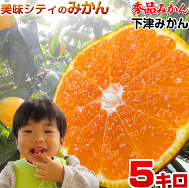 農家直送の下津みかん 1