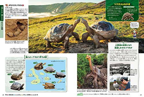角川の集める図鑑ＧＥＴ！ は虫類・両生類  4