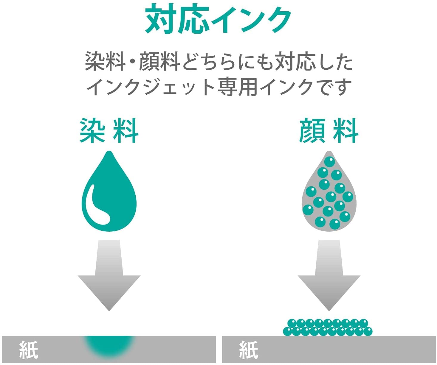 エコノミー光沢紙  5