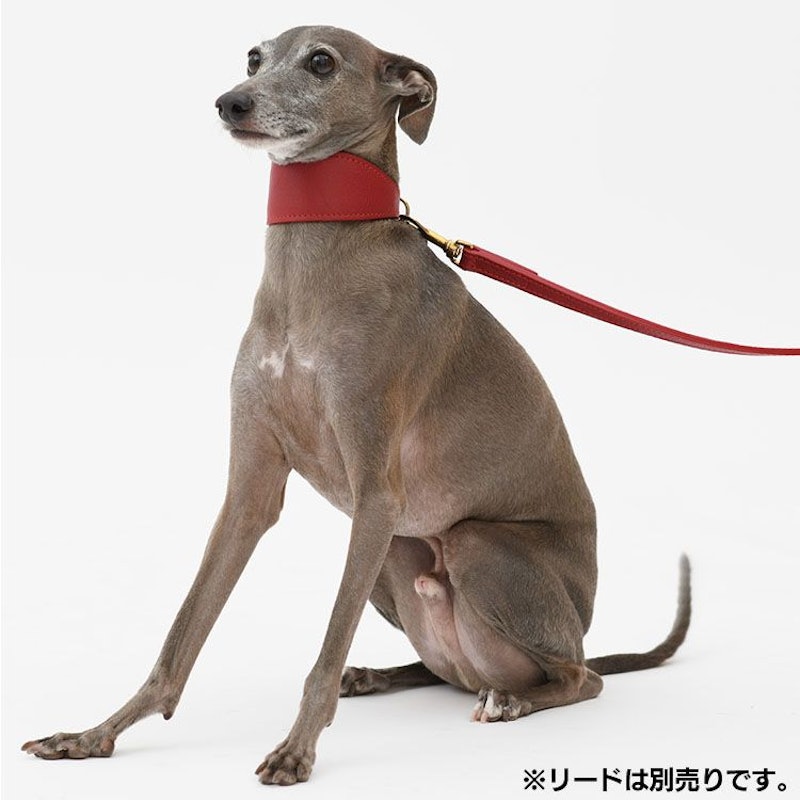Anna leather greyhound collar 2