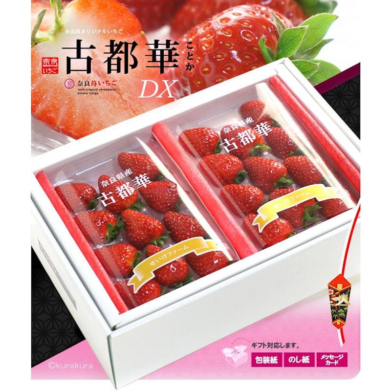 古都華 5