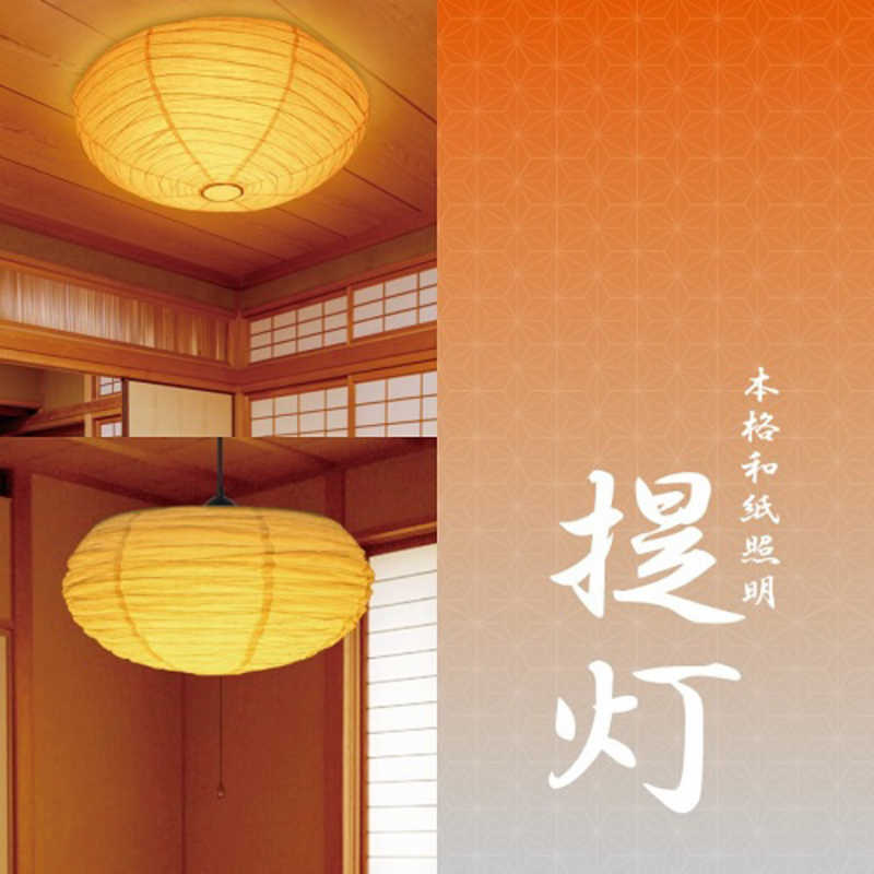 タキズミのシーリングライトのおすすめ人気ランキング【2025年11月