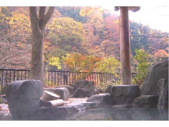 風木立の川辺 紫明館 11