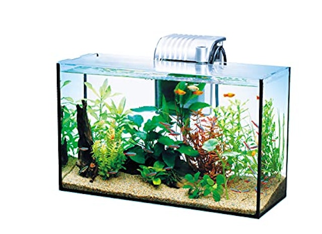 22年 熱帯魚用水槽のおすすめ人気ランキング18選 Mybest 22年 熱帯魚用水槽のおすすめ人気ランキング18選 Mybest