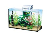 熱帯魚用水槽のおすすめ人気ランキング【2026年8月】 4