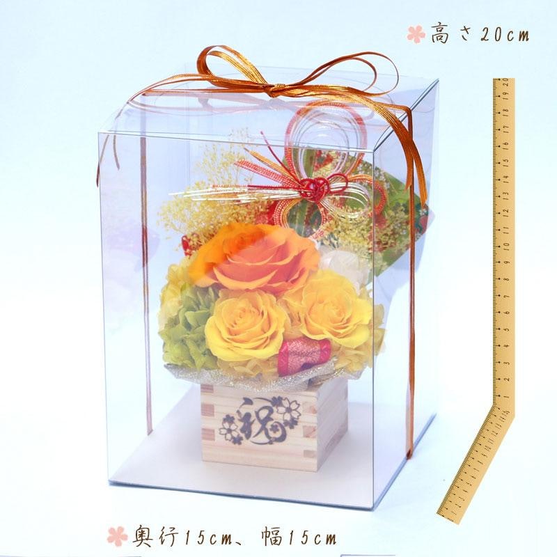 綾姫(黄色)~あやひめ~ 6