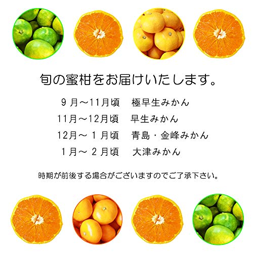 訳あり 小玉みかん 2