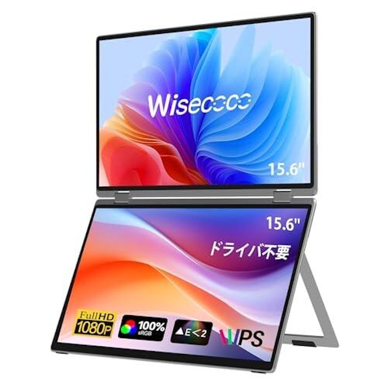 デュアルスクリーンモニター 1