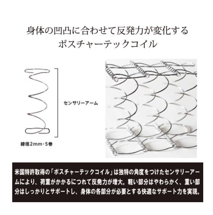 プリメーラN 2