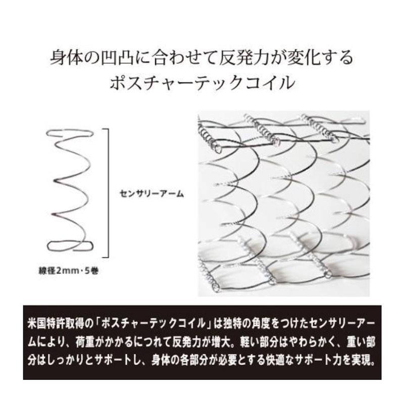 プリメーラN 2