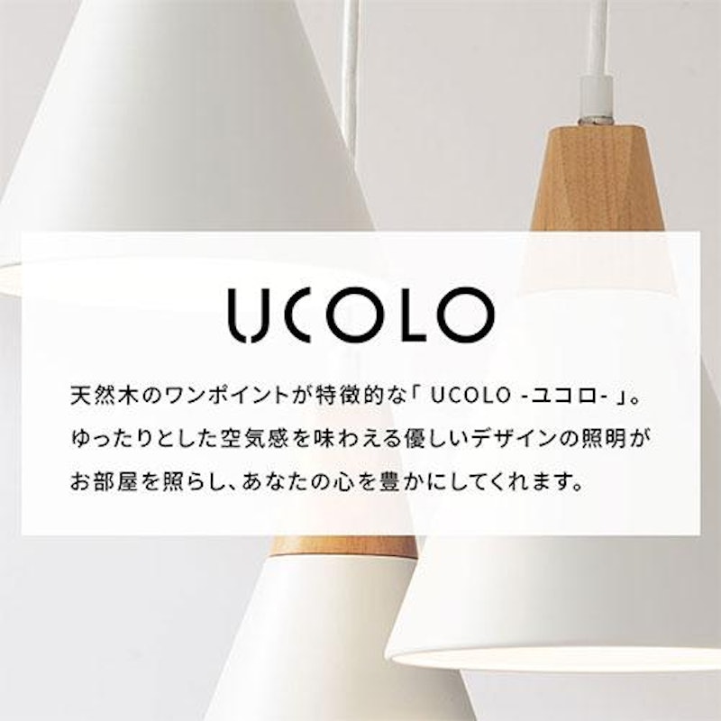 ペンダントライト 5