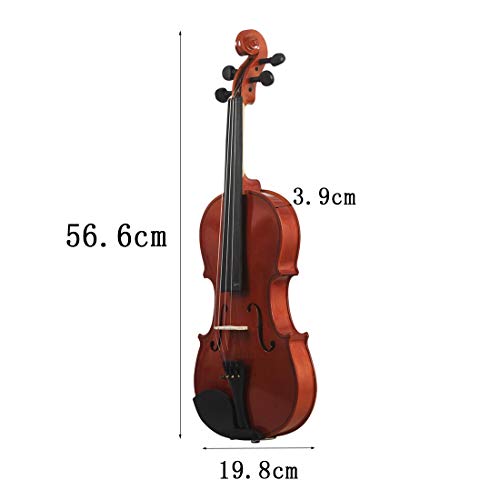 初心者用バイオリンのおすすめ人気ランキング36選【2024年】 | mybest