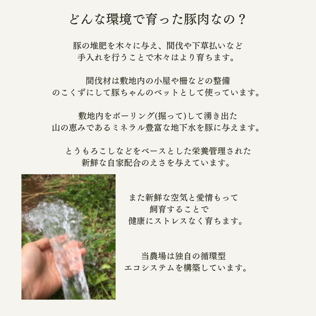  香草ステーキセット 3