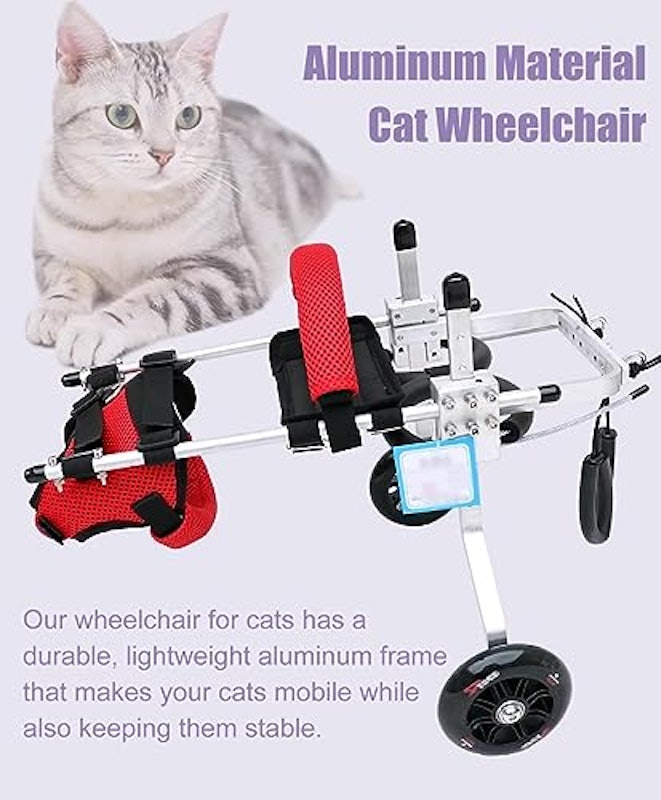 猫用車椅子 3