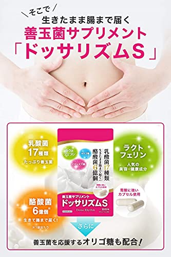善玉菌サプリメント ドッサリズムS 3