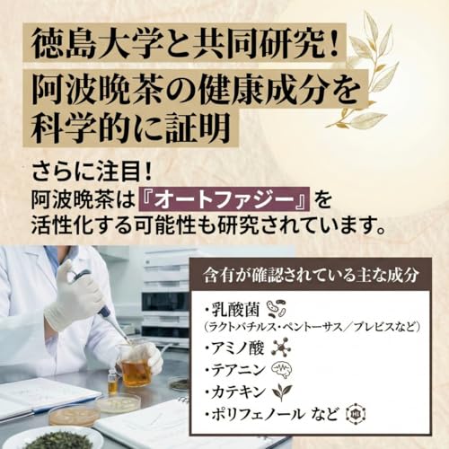 阿波晩茶 乳酸発酵茶 2