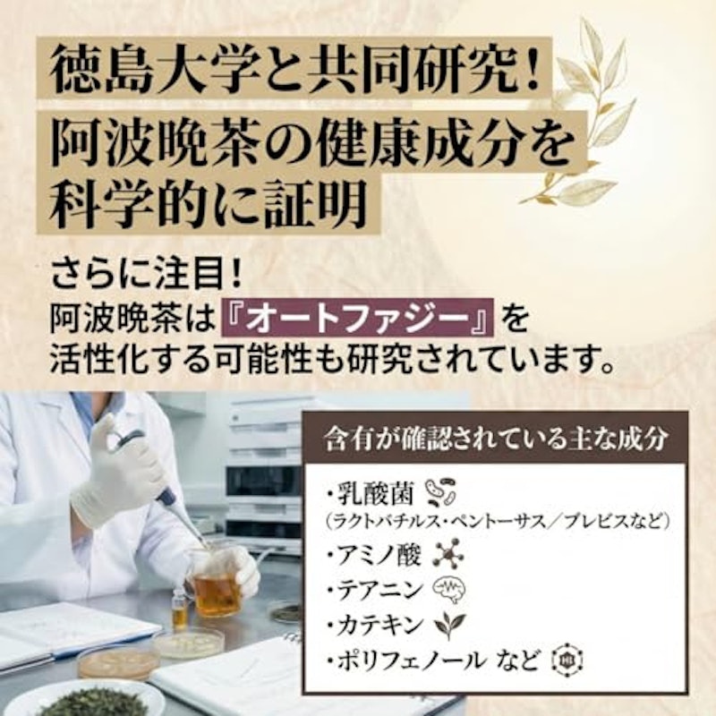 阿波晩茶 乳酸発酵茶 2
