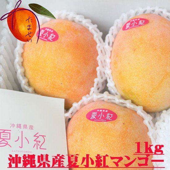 夏小紅マンゴー 1