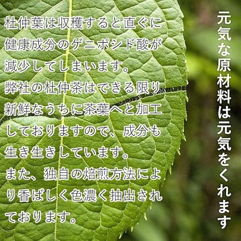 杜仲茶 5