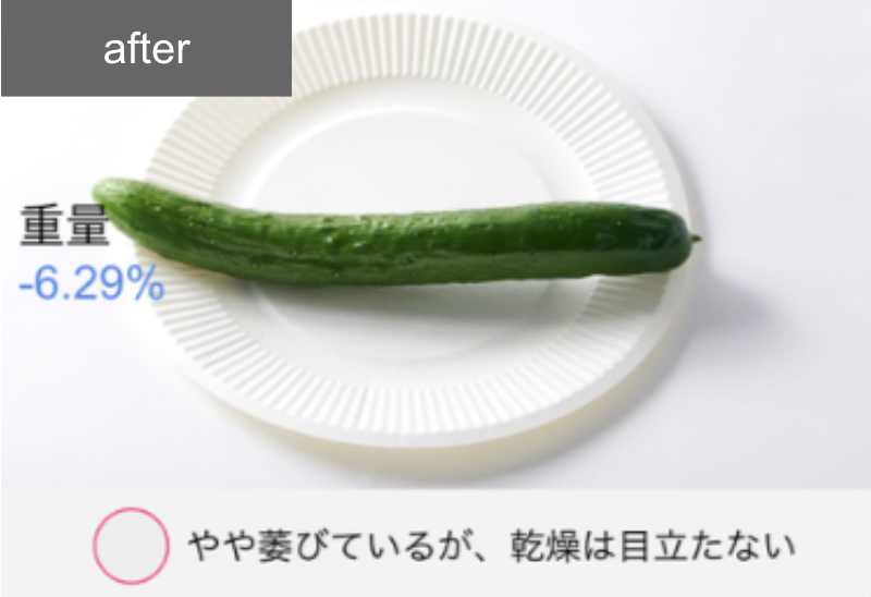 冷凍冷蔵庫 16