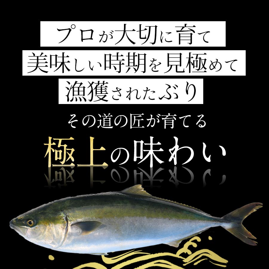 金太郎ぶり 冷凍 3