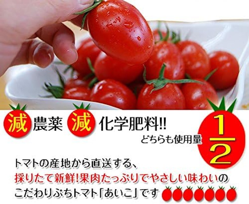 ミニトマトあいこ 3