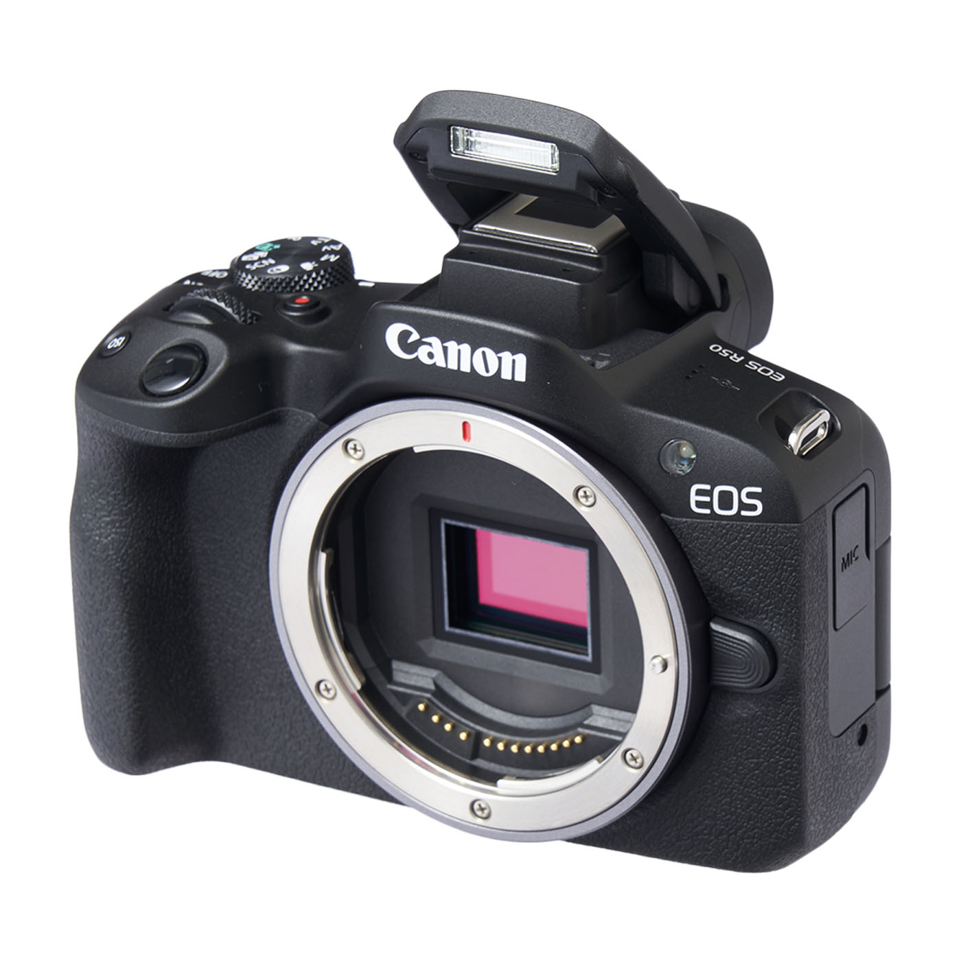 Canon EOS R50をレビュー！口コミ・評判をもとに徹底検証 | マイベスト