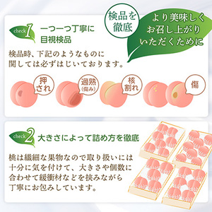 山梨厳選旬の桃 3