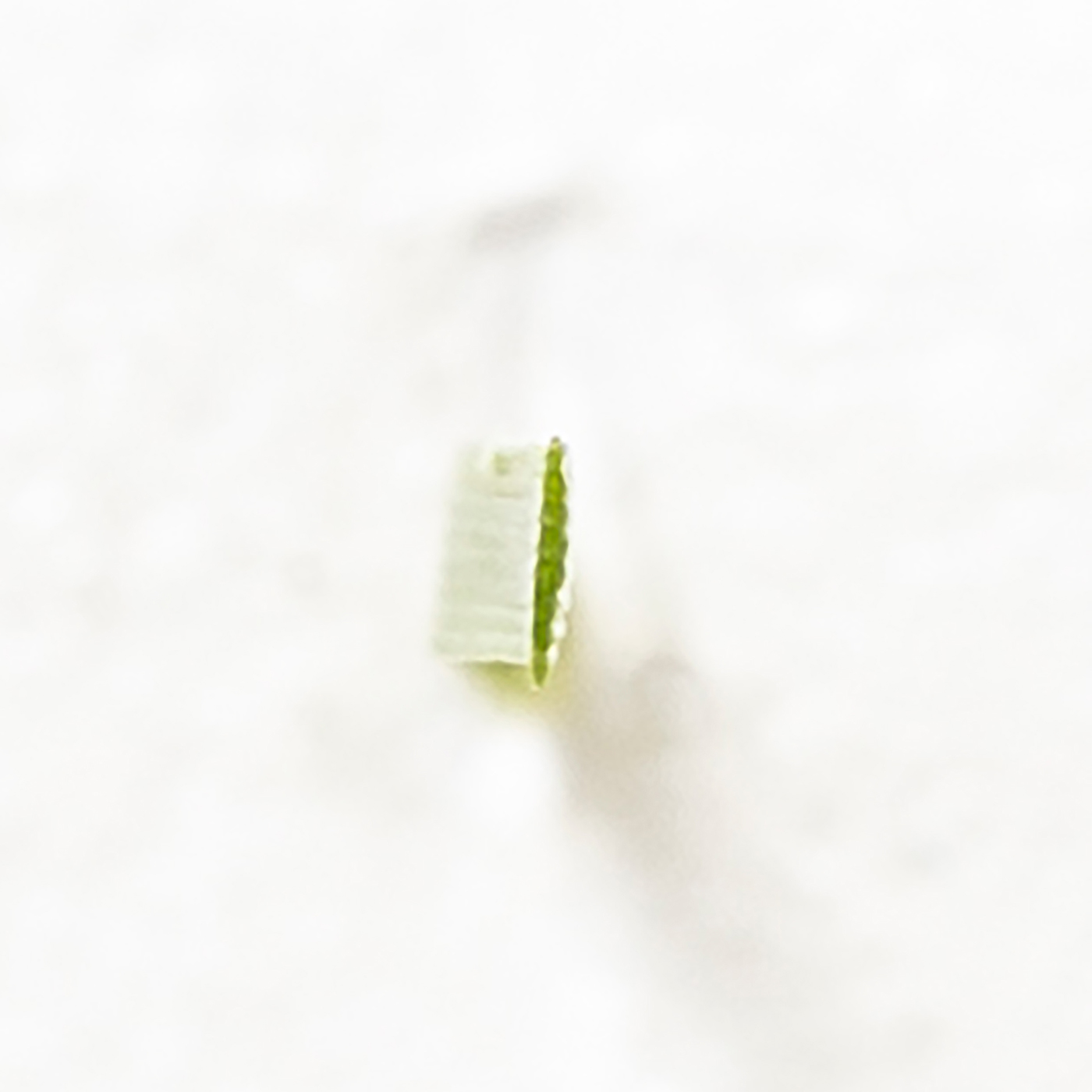 人工芝 防草シート付き 7