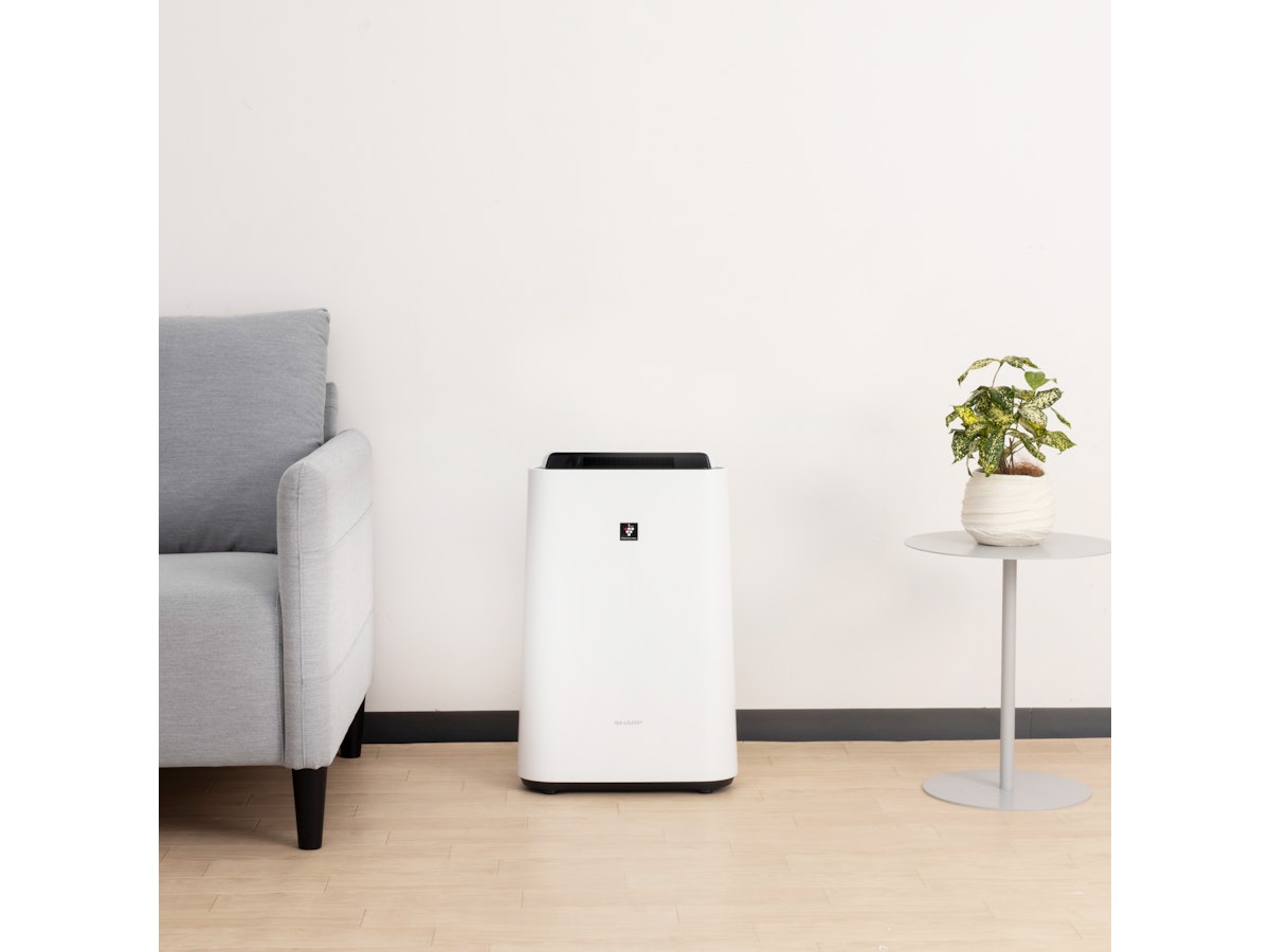 新品】加湿空気清浄機SHARP KC-S50-W プラズマクラスター 【公式通販】 新品】加湿空気清浄機SHARP KC-S50-W プラズマクラスター 【公式通販】