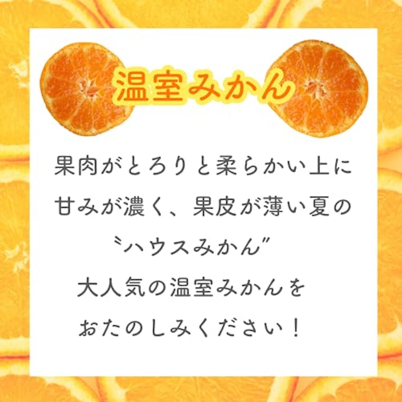 温室みかん 2
