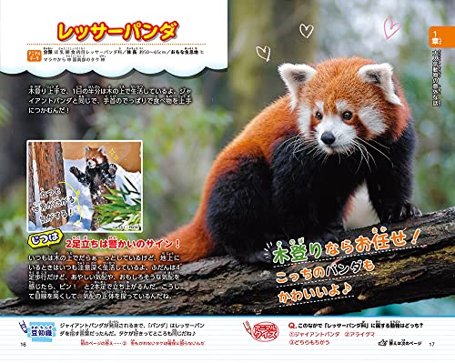 動物園へ行こう！ 3