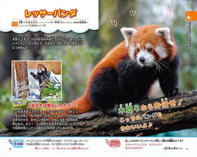 動物園へ行こう! 3