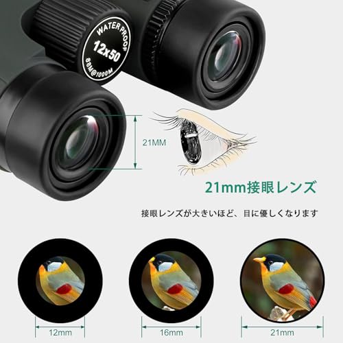 双眼鏡 5