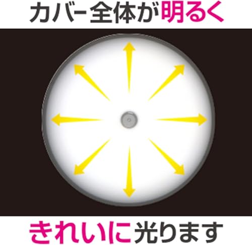 ペンダントライト 7