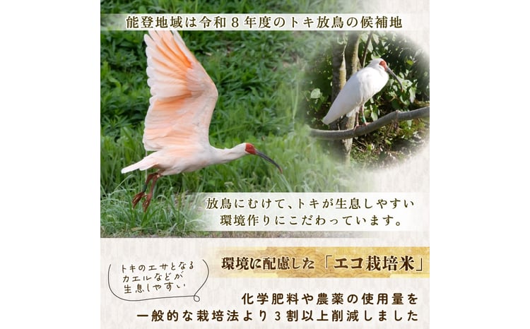 令和7年産 石川県産コシヒカリ 5kg 3