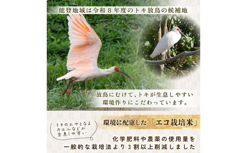 令和7年産 石川県産コシヒカリ 5kg 3
