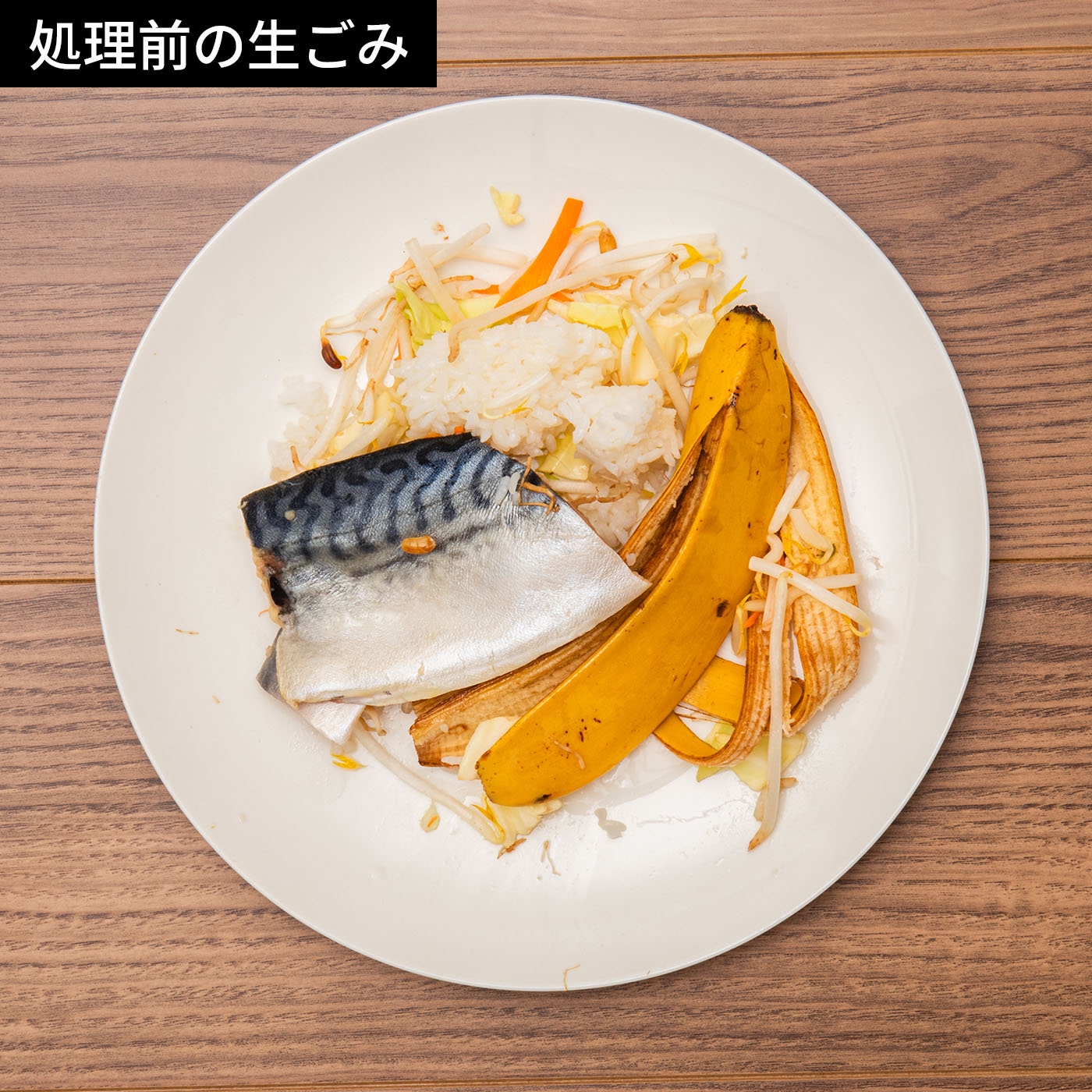 自然にカエルS 基本セット 2