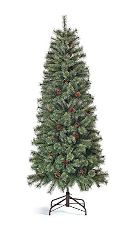 Spruce ヨーロッパトウヒツリー 1
