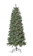 龍田産業 Spruce ヨーロッパトウヒツリー 1