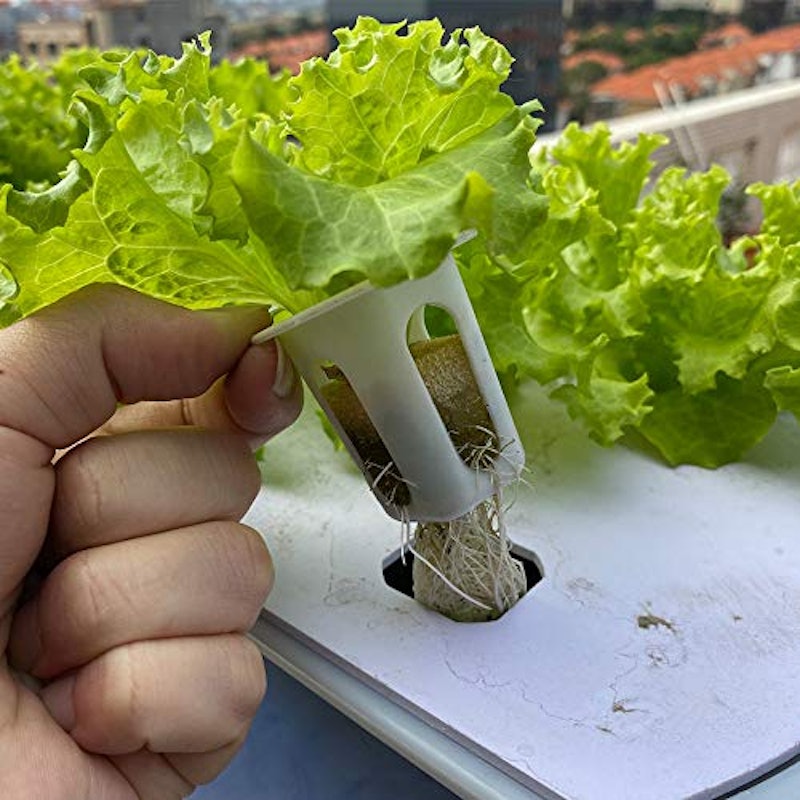 水耕栽培キット 専用ポンプ付き 3