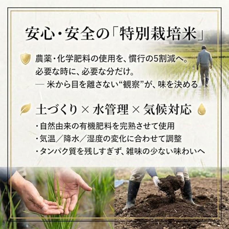 つや姫 4