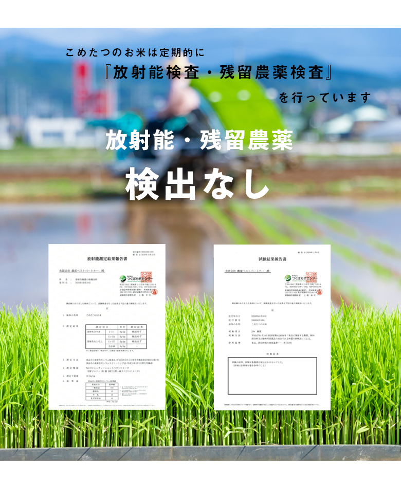 熊本県産ヒヨクモチ 4
