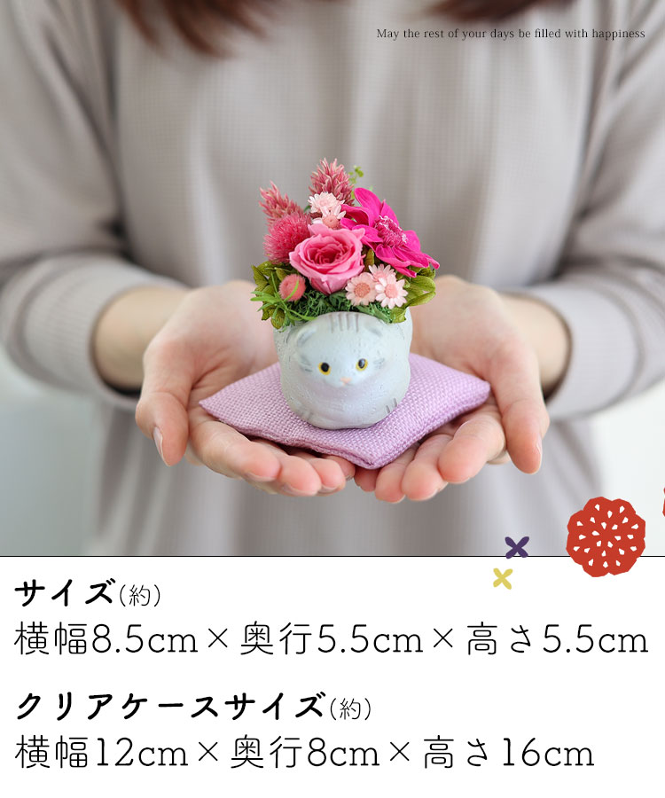 プリザーブドフラワー くつろぎねこ  7